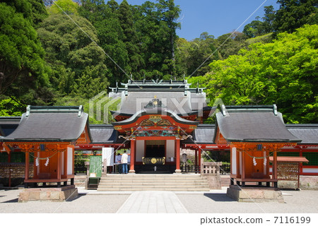霧島神社的新鮮綠色 霧島神社的新鮮綠色 7116199