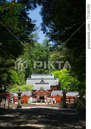 霧島神社的新鮮綠色 霧島神社的新鮮綠色 7116200