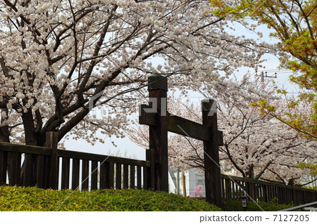 Nanba Tagashiro公園Honjyon門和Kiyoshino  - 在南部的領域 7127205