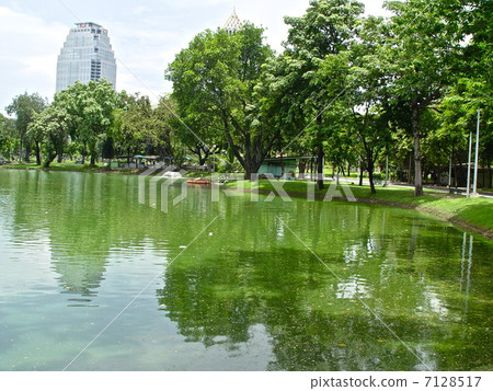 Artificial pond at Lumphini Park (Bangkok / Thailand) 7128517