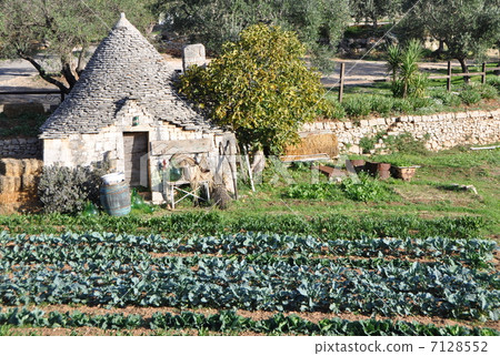 阿爾貝羅貝洛 7128552