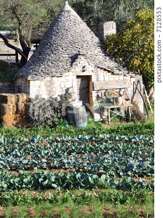 阿爾貝羅貝洛 阿爾貝羅貝洛 7128553