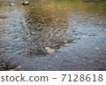 River 7128618