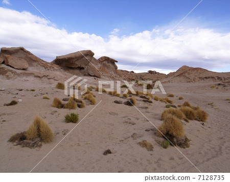 阿塔卡馬沙漠 7128735