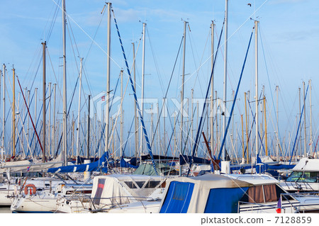 Yachts moored in a marina Yachts moored in a marina 7128859