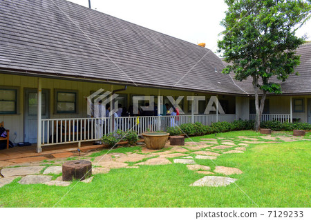 夏威夷大學 7129233