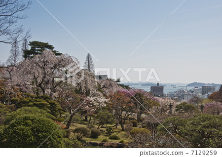 Shiogama Port from Shikama Shrine Pref. 7129259