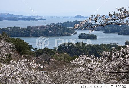 Matsushima · Nishiyuki return of Matsu Park Matsushima · Nishiyuki return of Matsu Park 7129300