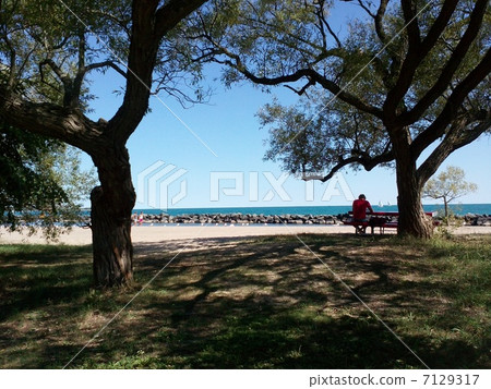 多倫多島 7129317