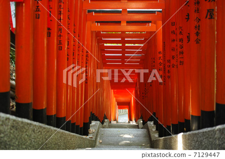 在神社靖國神社的鳥居 在神社靖國神社的鳥居 7129447