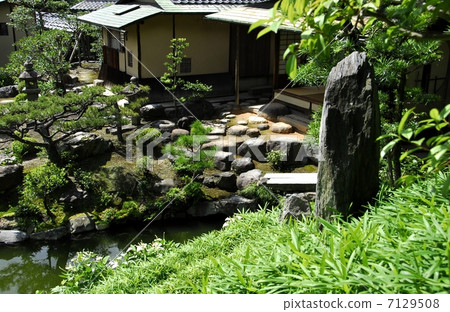 Half-summer garden of Kyoto Bikinari 7129508
