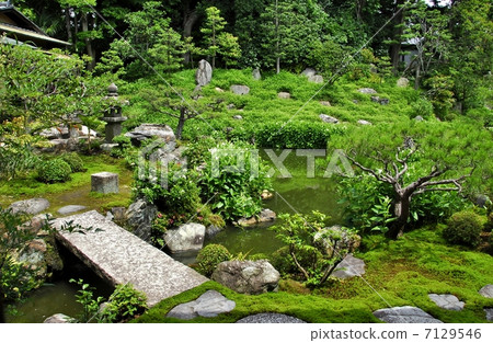 Half-summer garden of Kyoto Bikinari 7129546
