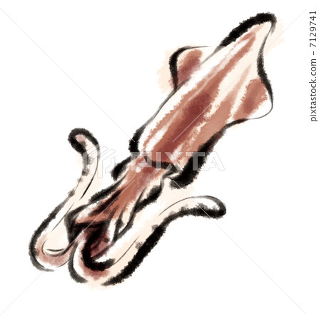squid squid 7129741