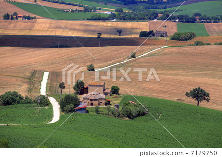 Italian rural areas 7129750