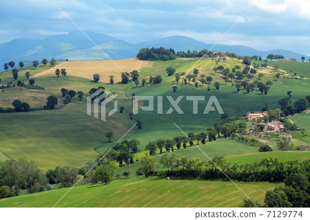 Italian rural areas Italian rural areas 7129774