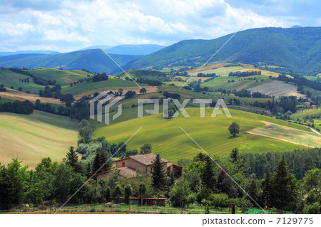 Italian rural areas 7129775