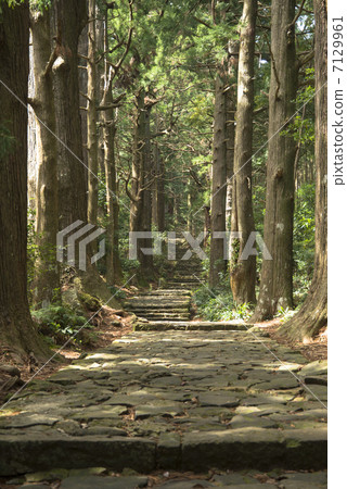 Kumano Kodo Daimonzaka 7129961