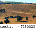意大利農村地區 7130023