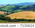意大利農村地區 7130024