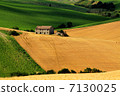 意大利農村地區 7130025