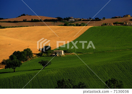 Italian rural areas Italian rural areas 7130036