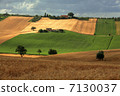 意大利農村地區 7130037