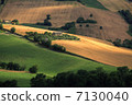 意大利農村地區 7130040