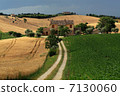 意大利鄉村道路 7130060