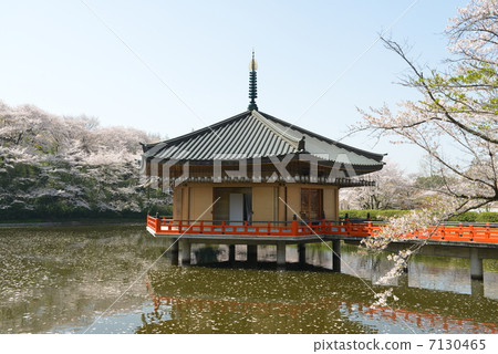 安倍文學診所 7130465