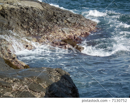 Enoshima Kagoshiriguchi 7130752