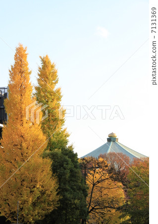 Nippon Budokan 7131369