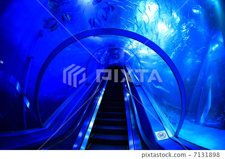 Hakkeijima Sea Paradise 7131898