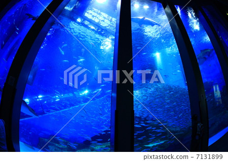 Hakkeijima海洋天堂 7131899