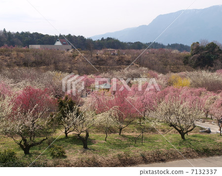 Inabe City Agricultural Park · Bairin Park (view) Inabe City Agricultural Park · Bairin Park (view) 7132337