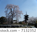 東治 7132352
