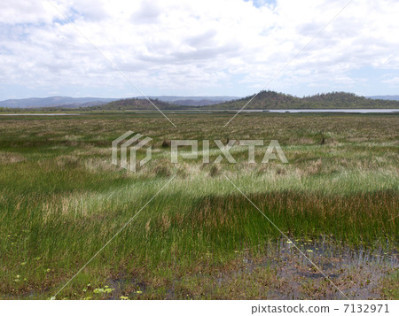 Mitchell Lake in Queensland, Australia 7132971