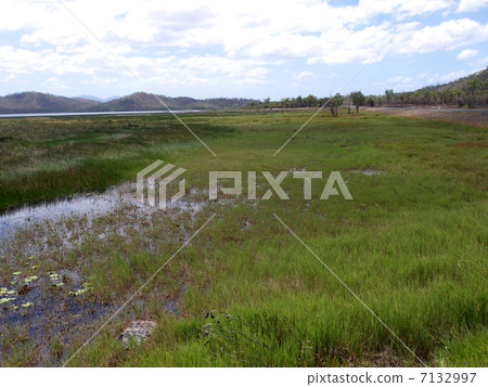 Mitchell Lake in Queensland, Australia Mitchell Lake in Queensland, Australia 7132997