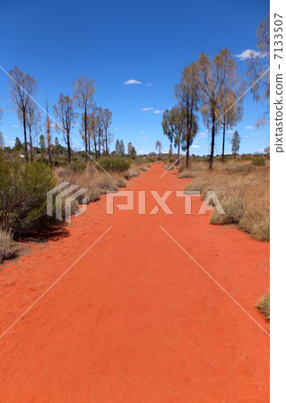 荒野澳大利亞 7133507