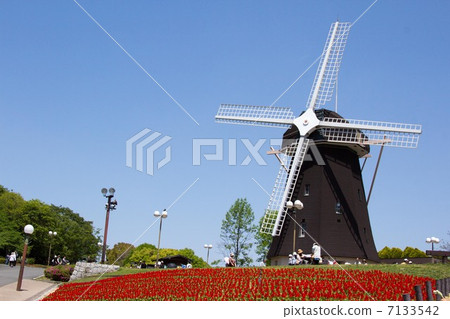Windmill of Tsurumi Green Park 7133542