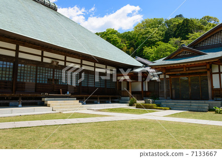 Kyoikoji Kamakura 7133667