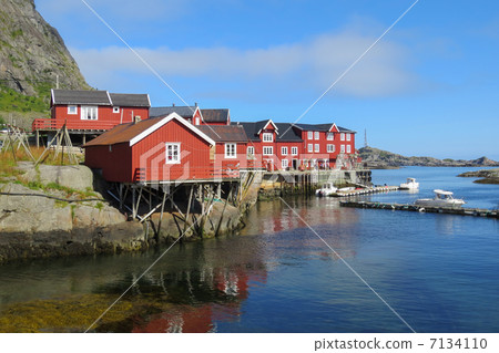 Typical red rorbu huts in the town of A (Lofoten, Norway) Typical red rorbu huts in the town of A (Lofoten, Norway) 7134110