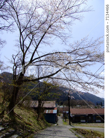 Ashio銅山礦結算現場 7134466