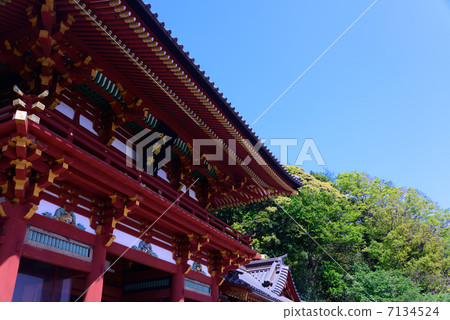 Tsuruoka Hachimangu Shrine Kamakura 7134524