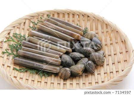 Mate shellfish and clam 7134597