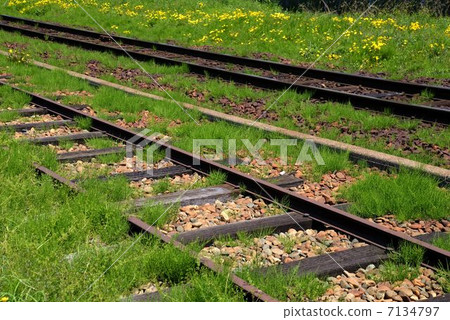 Line of local line 7134797