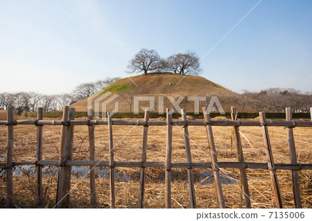 秋天的景色 秋天的景色 7135006