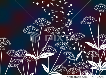 圖案 圖案 7135228