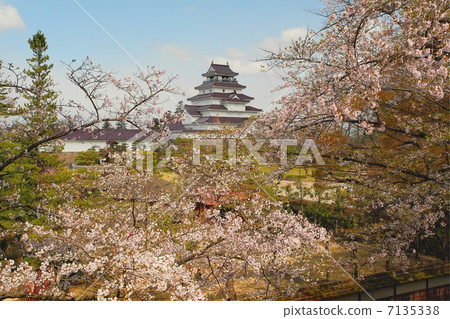 敦賀城堡 敦賀城堡 7135338