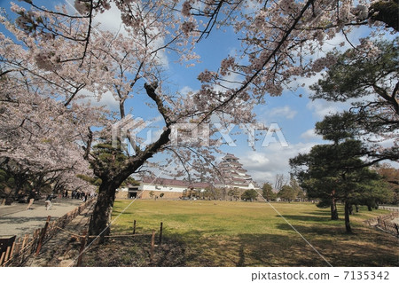 Tsuruga castle Tsuruga castle 7135342
