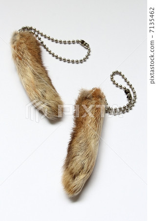 兔子腳的護身符 兔子腳的護身符 7135462